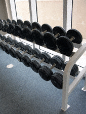 deer antler velvet work out