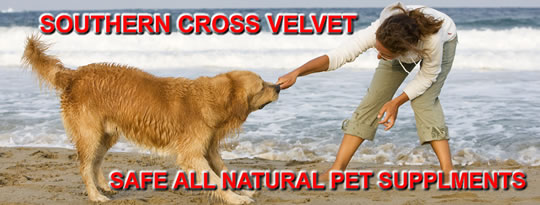 Southern Cross Velvet Deer Antler Velvet Pet Supplements for dogs, puppies, cats, and horses